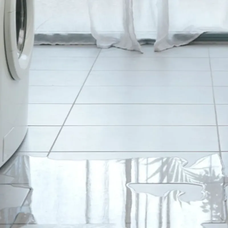 Appliance Leak Cleanup in Oceana, WV