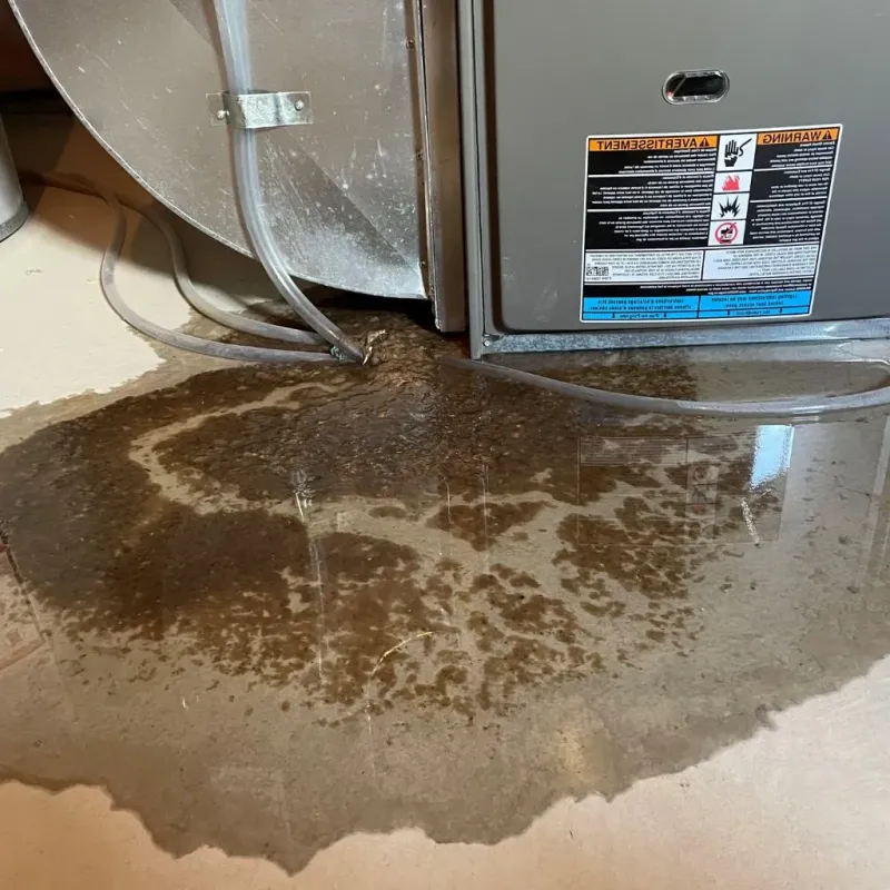 Pipe Burst and Leak Restoration in Oceana, WV