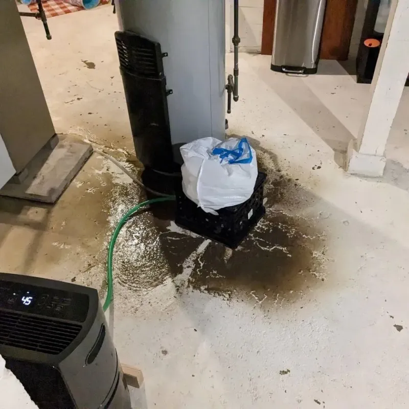 Sewage Backup Cleanup Service in Oceana, WV